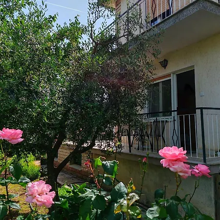Apartment Nina